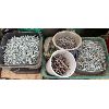 Image 1 : JOB LOT - QTY NAILS & SCREWS 