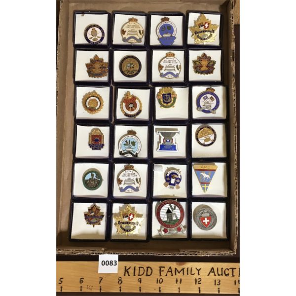 LOT OF 24 - VINTAGE AND ANTIQUE CURLING PINS