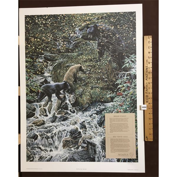 RICHARD STANLEY 'MILD WINTER AHEAD' - PRINT - 25 x 33.5in