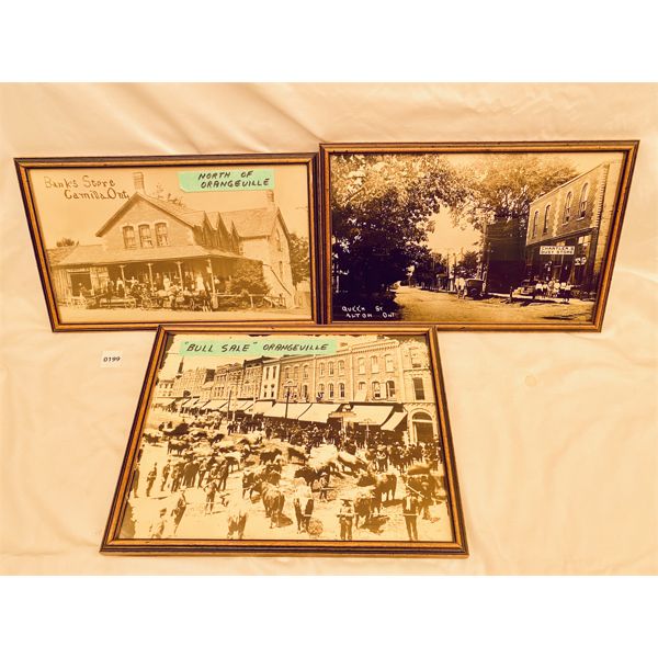 LOT OF 3 - FRAMED REPRO PHOTOS OF ORANGEVILLE - BULL SALE, CHANTLER'S STORE, BANK STORE 