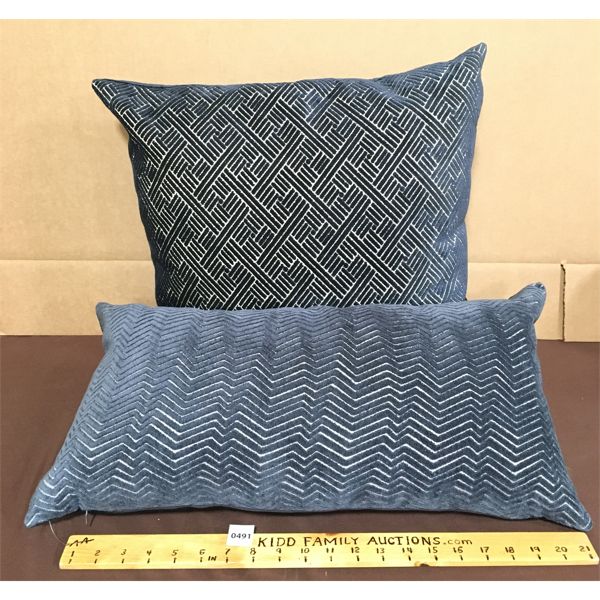 LOT OF 2 - DESIGNER THROW PILLOWS - 17 x 17in & 20.5 x 10in