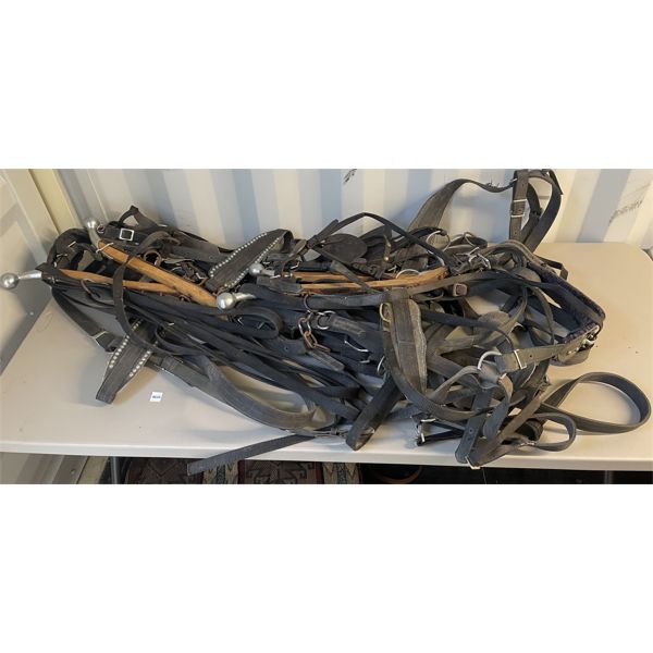 HORSE TEAM HARNESS - LEATHER
