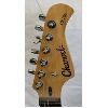 Image 3 : CHARVEL ELEC GUITAR W/ STAND, STRAP AND HARD CASE