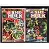 Image 1 : THE SAVAGE SHE-HULK NO.12/ NO.14 (MARVEL COMICS)