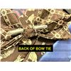 Image 5 : Collection of Men's Ties