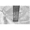 Image 3 : Serving Dish, Glass Pickle Plate