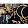 Image 4 : Collection of Earrings