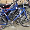 Image 2 : BLUE FREE SPIRIT BIKE