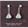 Image 1 : Navajo Sterling Turquoise & Mother of Pearl on the back  Earrings