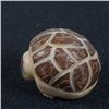 Image 10 : Zuni Carved Tagua Nut Armadillo Fetish