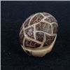 Image 3 : Zuni Carved Tagua Nut Armadillo Fetish