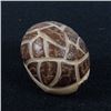 Image 4 : Zuni Carved Tagua Nut Armadillo Fetish