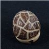 Image 5 : Zuni Carved Tagua Nut Armadillo Fetish