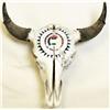 Image 1 : Painted buffalo skull