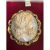 Image 2 : Beautiful Claw Set Hand Carved Tri-Colour Shell Cameo Cica 1930. Has a pin and Lock and Measures 32m