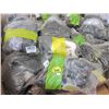 Image 1 : 20 Assorted New Pairs of Slippers