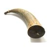 Image 2 : Powder horn