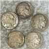 Image 1 : (5) Buffalo Head Nickels  CLOSELY UNCIRCULATED