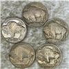 Image 2 : (5) Buffalo Head Nickels  CLOSELY UNCIRCULATED