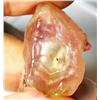 Image 1 : 71ct. A Hard To Find Iridescent Star Effect. Bi-Color Bright Lemon/Pink/Blue Sapphire Rough (GEM-071