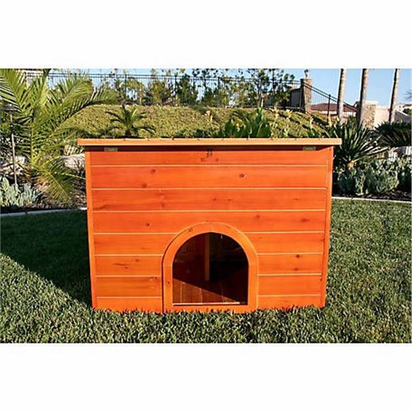 Chicken Coop