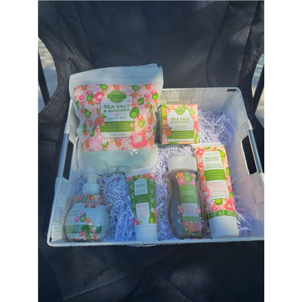 Scentsy Sea Salt and Avocado Kit