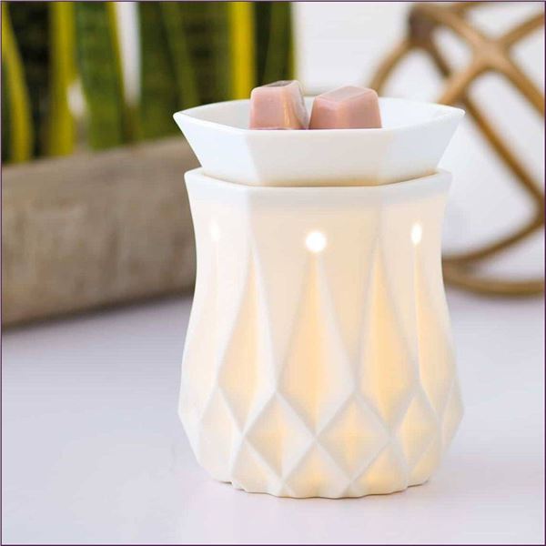 Scentsy Alabaster Wax Warmer and Scentsy Bars