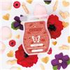 Image 3 : Scentsy Alabaster Wax Warmer and Scentsy Bars