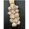 Image 2 : Red Russian Garlic