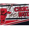 Image 6 : 1991-92 CHICAGO BULLS SIGNED FRAMED 13X30 PENNANT W/12 SIGNATURES (BECKETT COA)