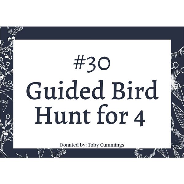 Bird Hunt for Four