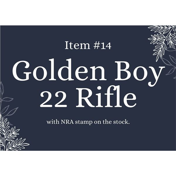 Golden Boy 22 Rifle (Live Auction Item)