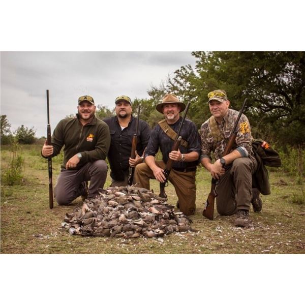 POINTER WINGSHOOTING:  Argentina Dove Hunt for Four Hunters at the San Huberto Lodge
