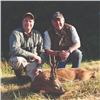 Image 1 : KEVIN DOWNER SPORTING CONSULTANTS: Chinese Water Deer OR Roe Deer Hunt for One Hunter and One Obser
