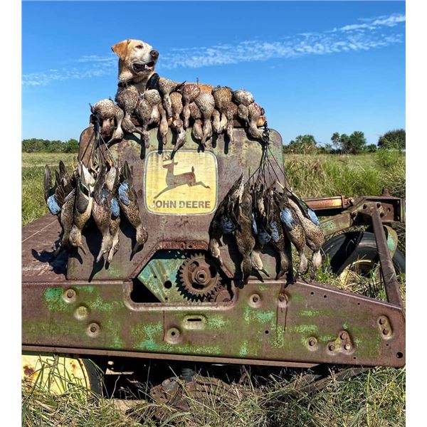 WGO Fully Guided Teal Hunt for Two in Brookshire, Texas-PLUS a RETAY Gordion shotgun!