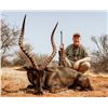 Image 2 : AFRICAN WILD SAFARIS: 8-Day Guided South Africa Plains Game Hunt for Four Hunters