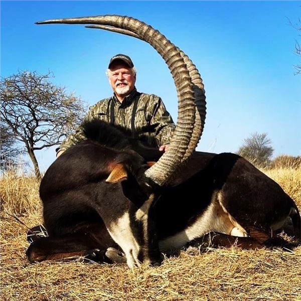 SPIRAL HORN SAFARIS: 5-Day Sable Hunt for Two Hunters and Two Non-Hunters