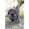 Image 1 : DEA RANCH: Spring 2023 Rio Grande Turkey and Hog Hunt in South Texas for One Hunter
