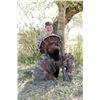 Image 2 : DEA RANCH: Spring 2023 Rio Grande Turkey and Hog Hunt in South Texas for One Hunter