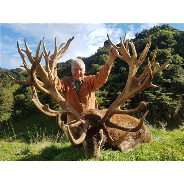 WANGANUI SAFARIS: 5-Day Hunt for Two Hunters to Pursue 1 Red Stag Each up to 380 SCI with Two Observ