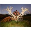 Image 6 : WANGANUI SAFARIS: 5-Day Hunt for Two Hunters to Pursue 1 Red Stag Each up to 380 SCI with Two Observ