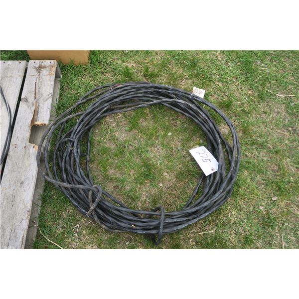 100ft. Underground Wire 10-10