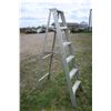 Image 1 : 6ft. Step Ladder
