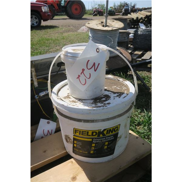 Lot of Galvanized Fence Staples