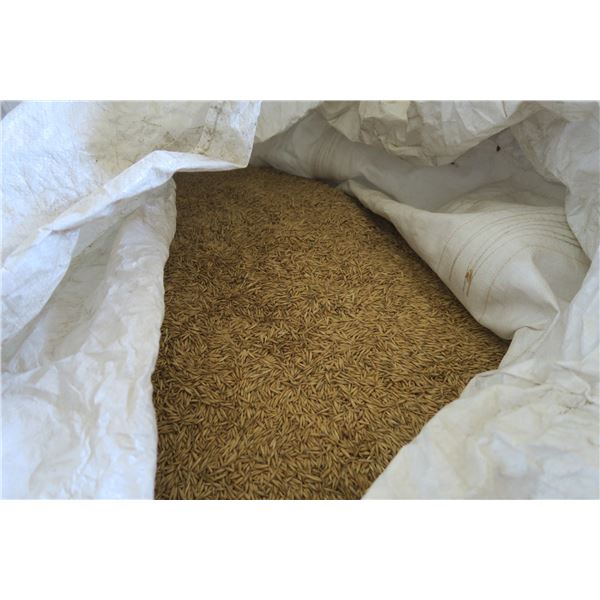Feed Oats - Approx. Weight 700 lbs