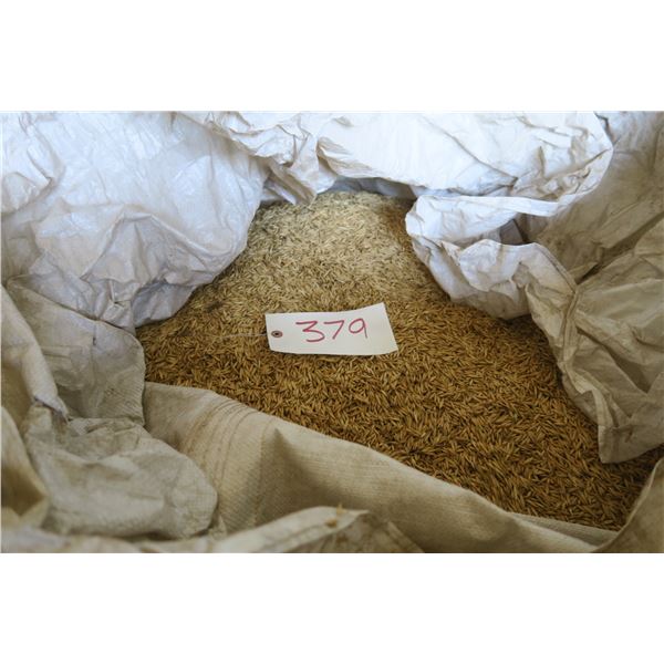 Feed Oats - Approx. Weight 700 lbs