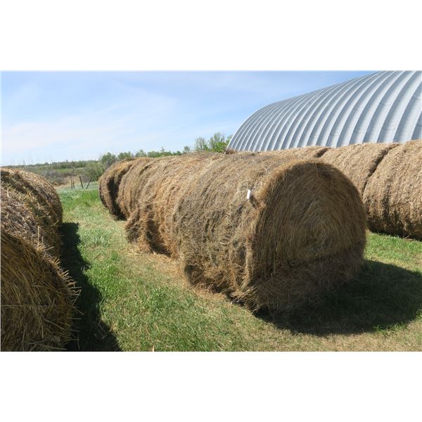 (Sell Price is 10 x Bid Amount) 10 - 12.5-13.5lbs  First Cut Brome Round Bales 5.5ft. Dia. Hard Core