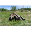 Image 2 : Approx. 20 Telephone Poles - Assorted Sizes 20-40ft - More long than Short