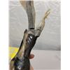 Image 8 : Antler carving