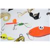 Image 2 : Fishing Lure Lot